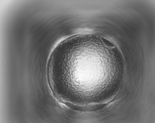 X0000062141488200512121228