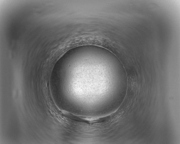 X0000062141489200512121227