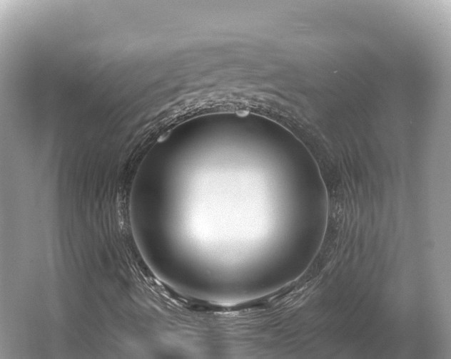 X0000062141490200512121227