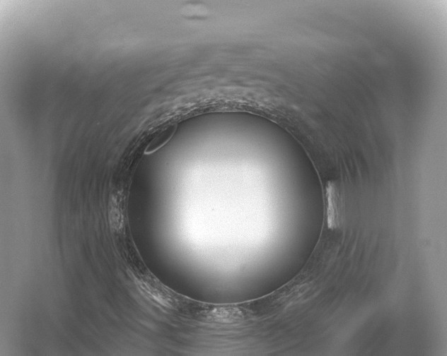 X0000062141491200512121227