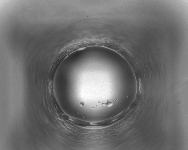 X0000062141492200512121227