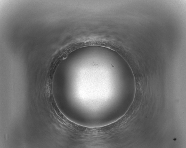 X0000062141493200512121228