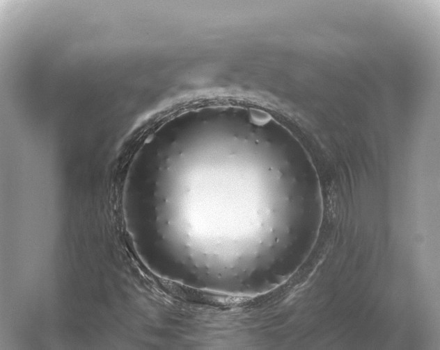 X0000062141494200512121228