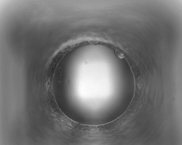 X0000062141495200512121228