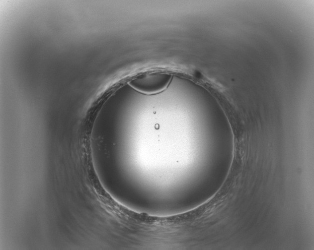 X0000062141496200512121228