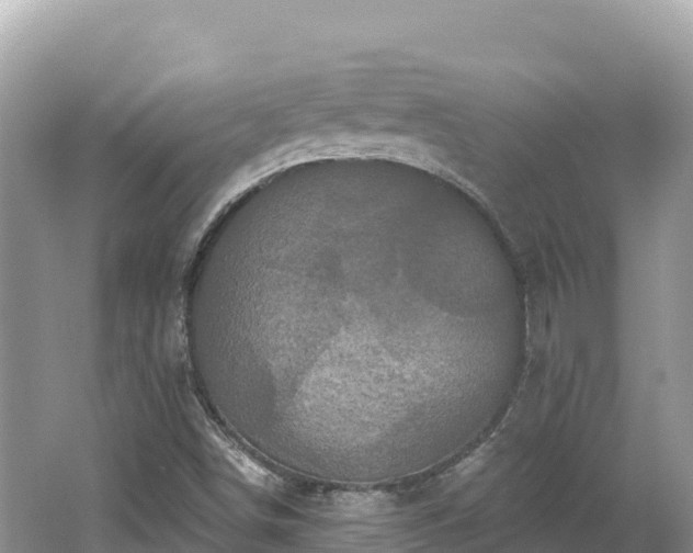 X0000062141498200512121228