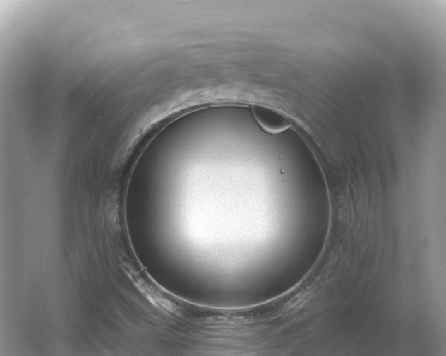 X0000062141499200512121228