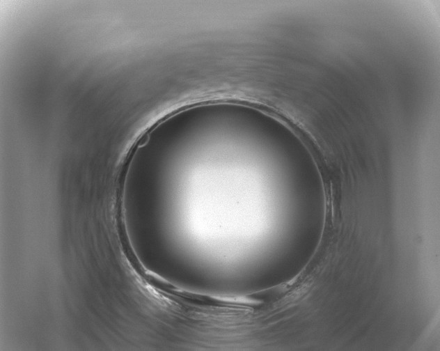 X0000062141500200512121228