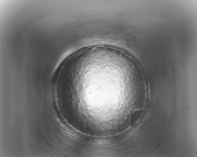 X0000062141501200512121228