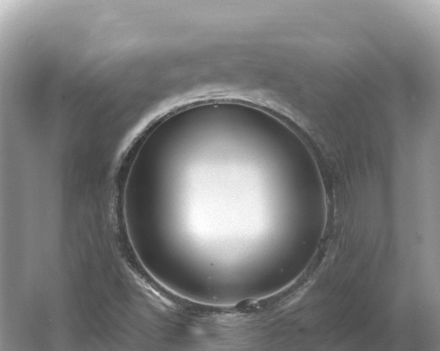 X0000062141502200512121228