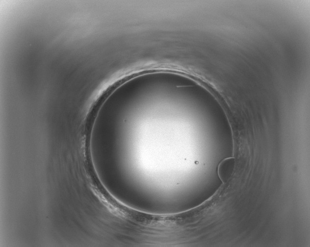 X0000062141503200512121228