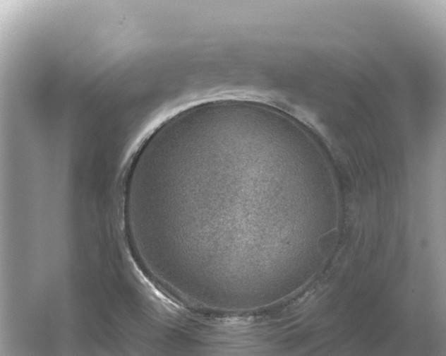 X0000062141504200512121228