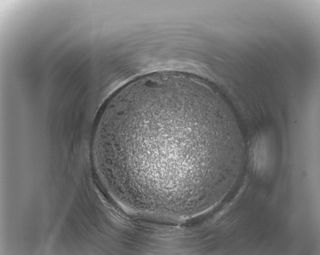 X0000062141505200512121228