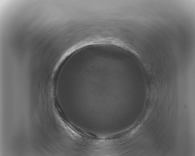 X0000062141506200512121228