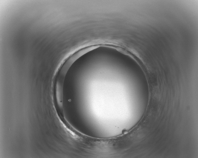 X0000062141508200512121228