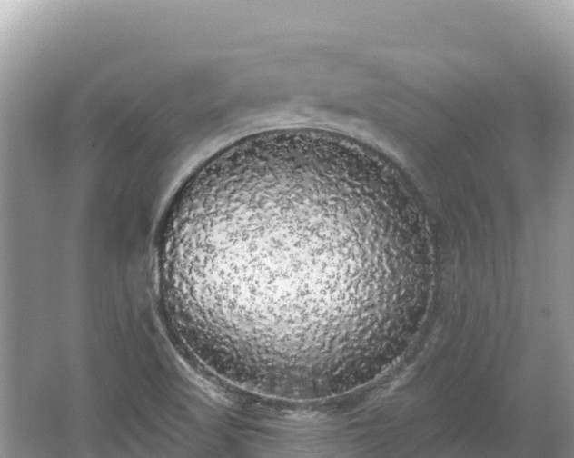 X0000062141509200512121228