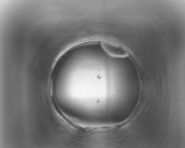 X0000062141510200512121228