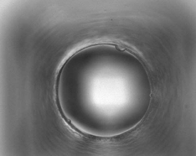 X0000062141512200512121228