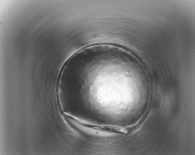 X0000062141513200512121228