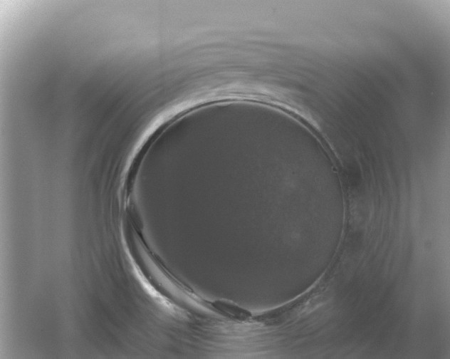 X0000062141515200512121228