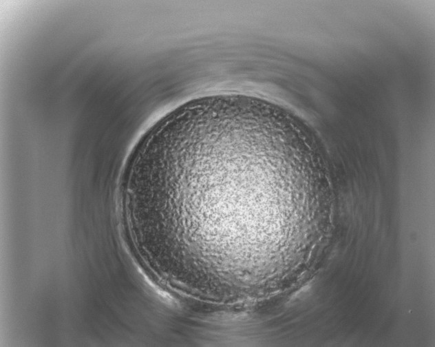 X0000062141517200512121228