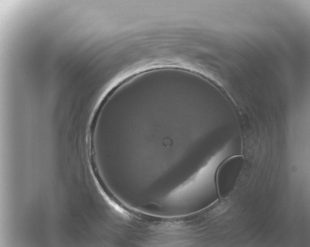 X0000062141519200512121228