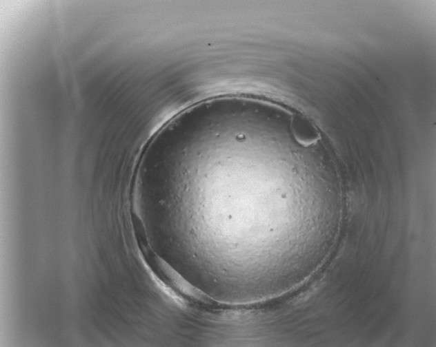 X0000062141521200512121228