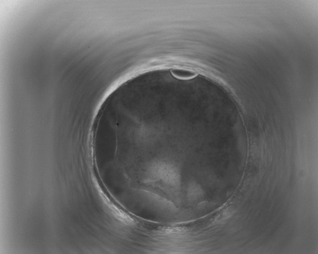 X0000062141522200512121228