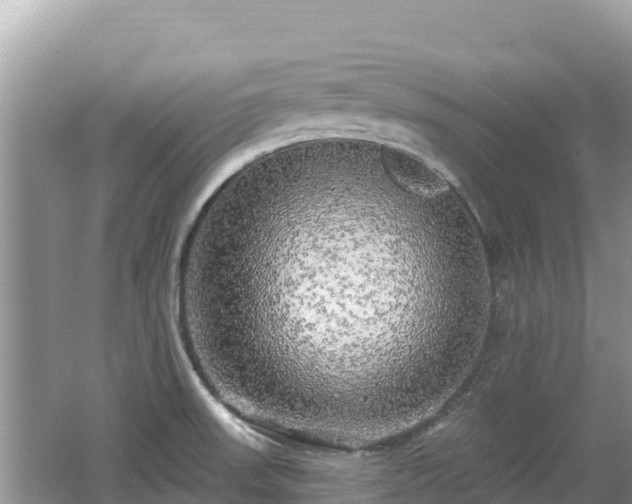 X0000062141523200512121228