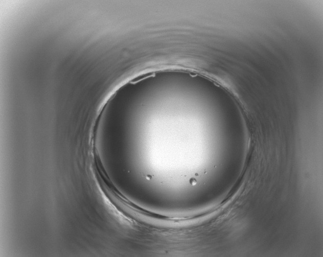 X0000062141524200512121228