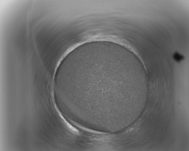 X0000062141525200512121228