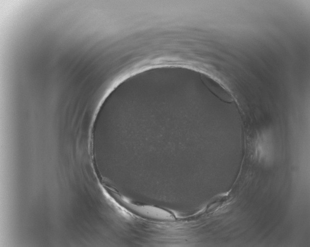 X0000062141527200512121228