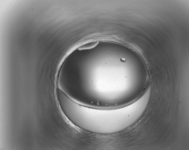 X0000062141528200512121228