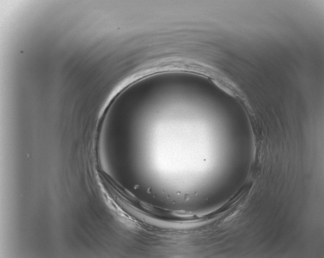 X0000062141530200512121228