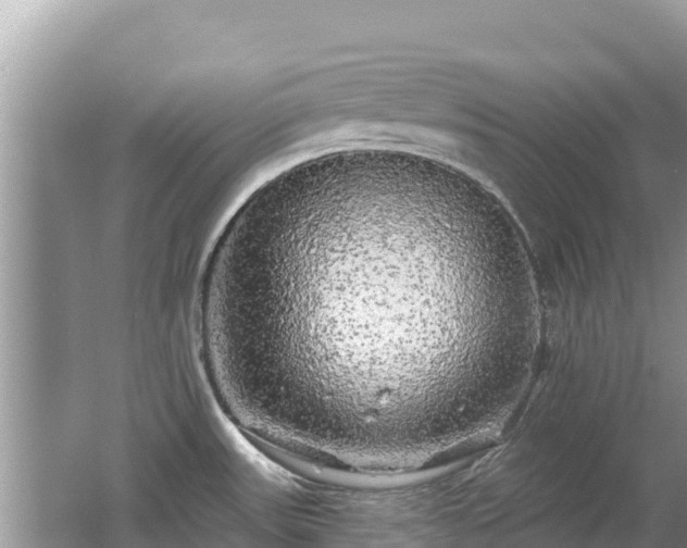 X0000062141531200512121228