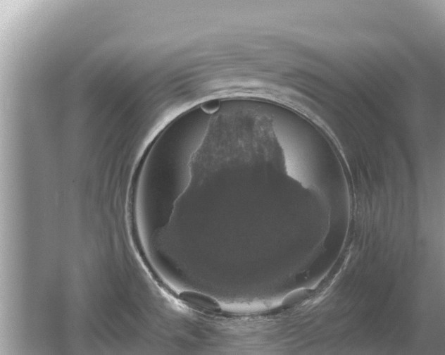 X0000062141533200512121228