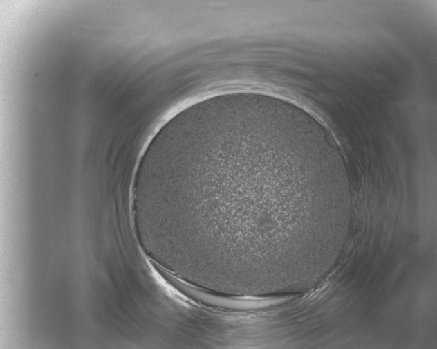 X0000062141535200512121228