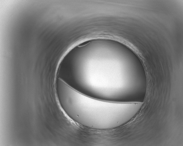 X0000062141536200512121228