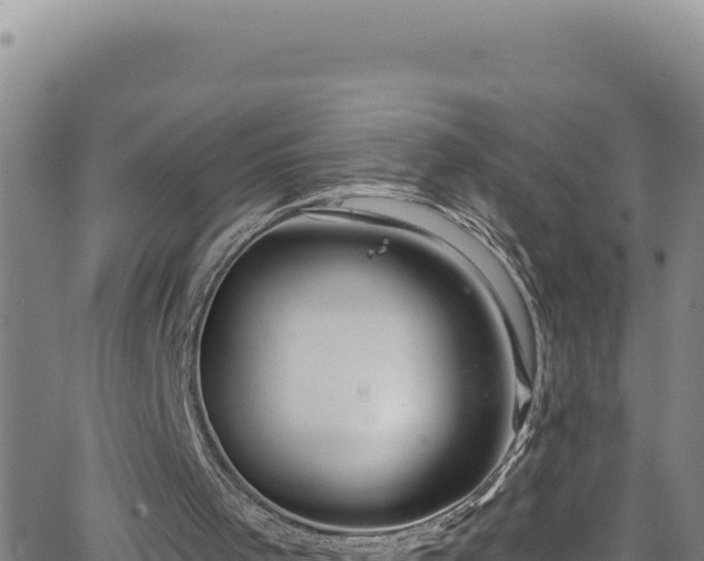 X0000062140001200512161229