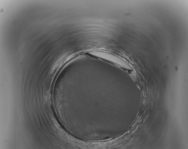 X0000062140002200512161229