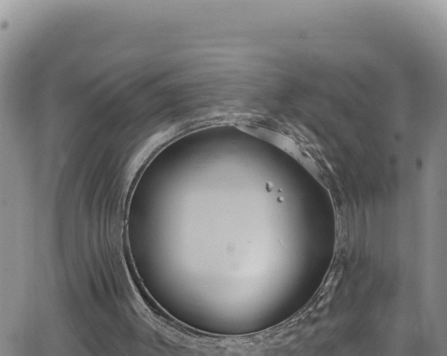 X0000062140003200512161229