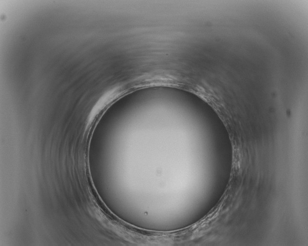 X0000062140004200512161229