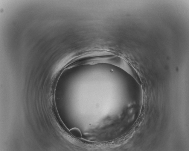 X0000062140005200512161229