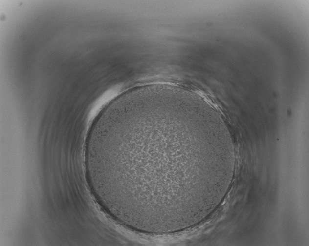 X0000062140006200512161229