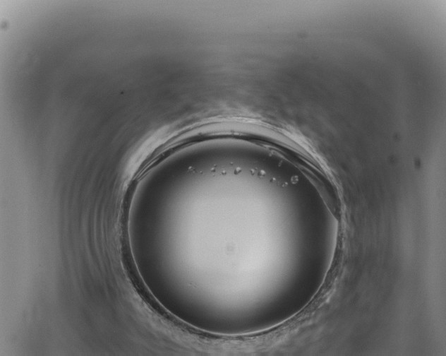 X0000062140007200512161229