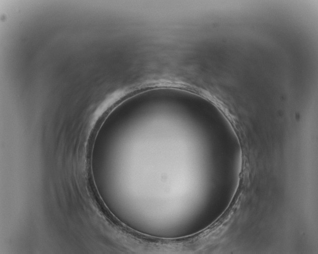 X0000062140008200512161229