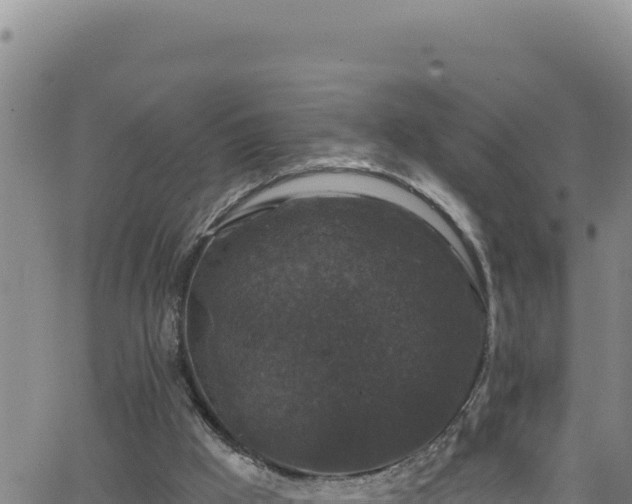 X0000062140009200512161229