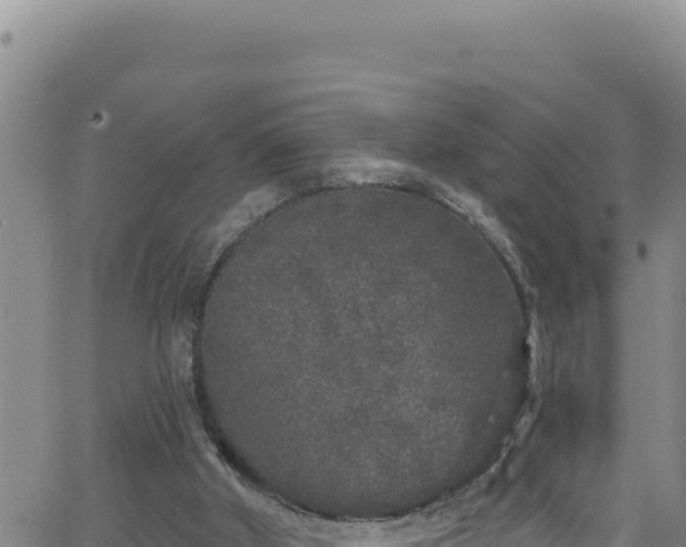 X0000062140010200512161229