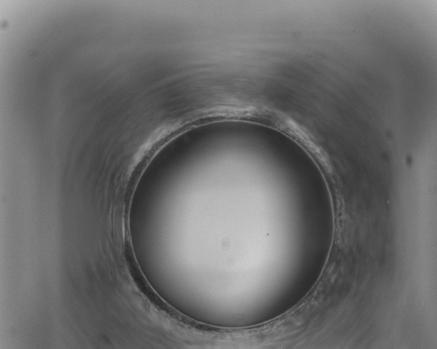 X0000062140011200512161229