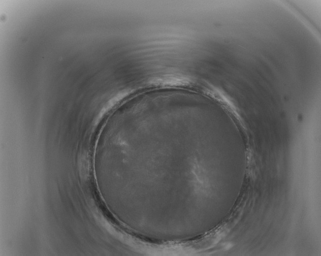 X0000062140012200512161229